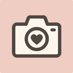 写真・動画撮影サービスのイメージ